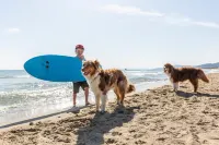 Gitavillage le Marze - Beach