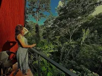Yarumo Lodge, Río Celeste Black Chalets - Dağ Manzaralı