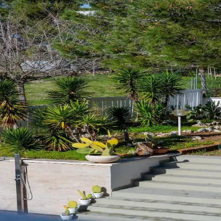 The Garden