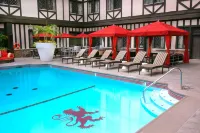 The Cheshire - Pool