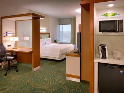 SpringHill Suites Houston I-45 North