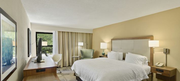 Hampton Inn Mt. Dora Hotele w: Lake County
