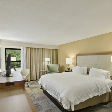 Hampton Inn Mt. Dora