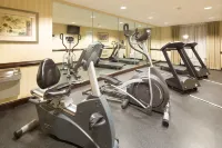 Holiday Inn Express & Suites GADSDEN W-NEAR ATTALLA by IHG - Gym