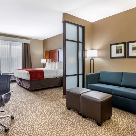 Comfort Suites Florence I-95