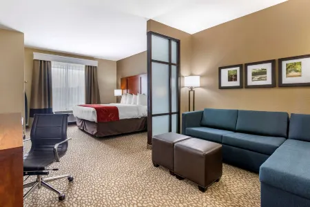 Comfort Suites Florence I-95 Отели в г. Дарлингтон