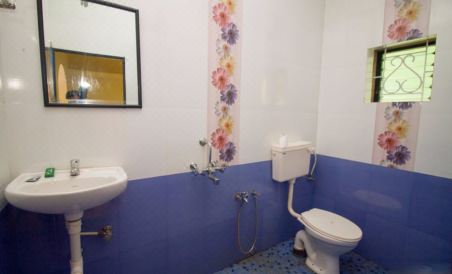 Parvati Suits - Housity