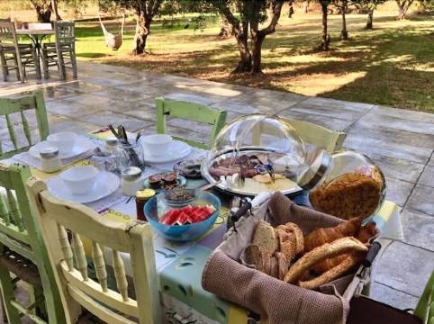 Anastasios Olive Garden Apartments Room Reviews Photos Petalidi 2021 Deals Price Trip Com