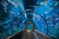 Mandalay Bay Resort and Casino - Træningscentre