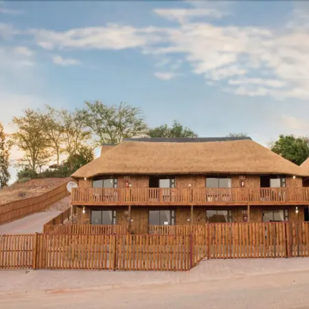 Kalahari Lion's Rest