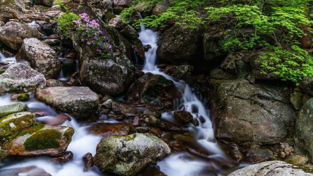 지리산 연우펜션