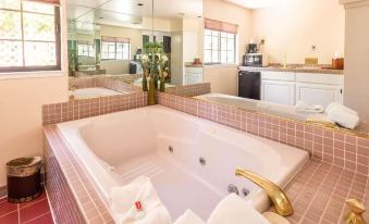 Econo Lodge Inn & Suites Heavenly Village Area