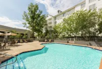 DoubleTree by Hilton Raleigh - Durham Airport at Research Triangle Park - Pools