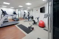 Embassy Suites by Hilton Detroit Troy Auburn Hills - Gym