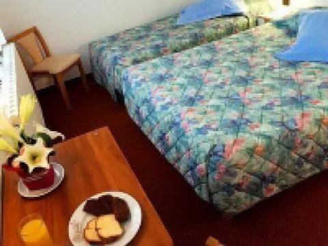 加里納酒店 加普酒店