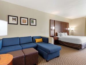 Comfort Inn & Suites Near Six Flags & Medical Center