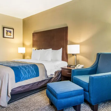 Comfort Inn Atlanta Downtown South Отели рядом с достопримечательностью «Стадион штата Джорджия»