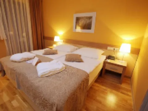 Terme Olimia - Hotel Breza Hotels in Podcetrtek