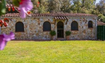 Can Mateu de La Creu - Little Rural House - Housity