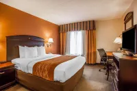 Comfort Inn & Suites Somerset - New Brunswick Hotels in Franklin Township