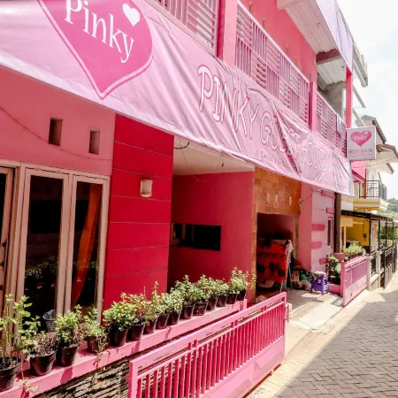 Pinky Guest House