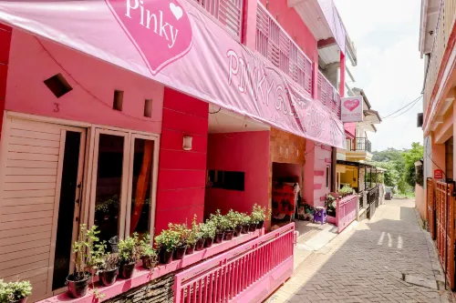 Pinky Guest House
