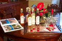Hotel Terminal - Caroli Hotels - Bares