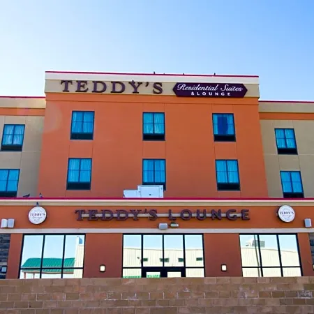 Teddy's Residential Suites New Town