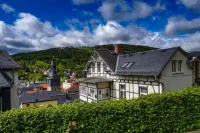 Villa Frieden Hotel & Seminarhaus فنادق في UnterweiBbach