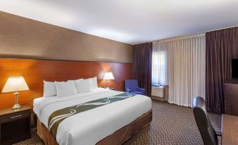Quality Inn Toronto Airport