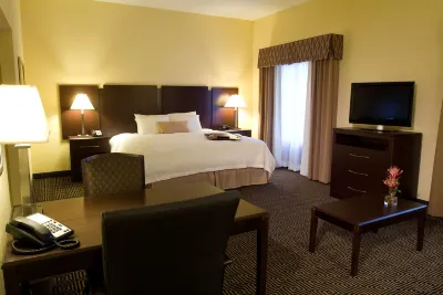 Hampton Inn & Suites Orlando-John Young Pkwy/S Park Hotels in Florida Mall