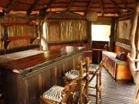 Off Beat Safaris Bush Lodge Hotels in Hoedspruit