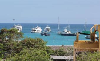 The Galapagos Pearl B&B