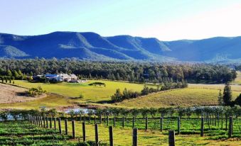 Grapevines Boutique Accommodation