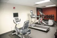 Hampton Inn & Suites Alpharetta - Gym