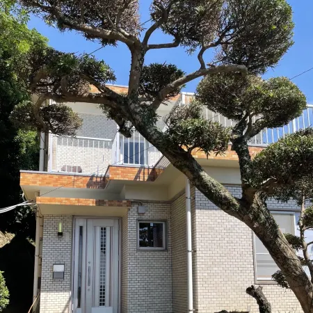 Watatsumi No Yado 1981 - Vacation Stay 55945V