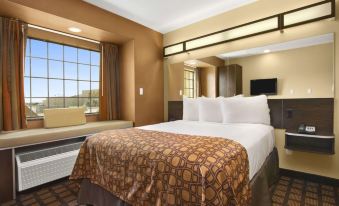 Microtel Inn & Suites by Wyndham Buda Austin South