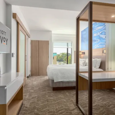 SpringHill Suites Bradenton Downtown/Riverfront Hotels near Buffalo Creek Park