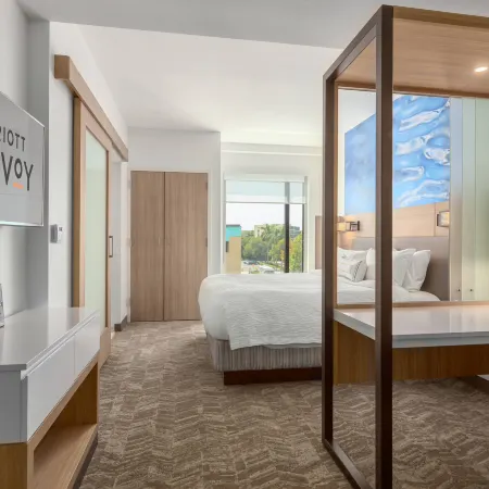 SpringHill Suites Bradenton Downtown/Riverfront
