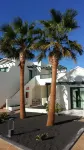 Hotel Pocillos Playa, Solo Adultos