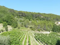 Les Grenaches Hotels in Draguignan