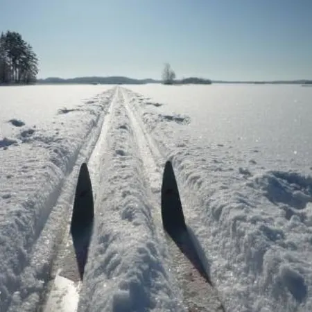 Kuikka