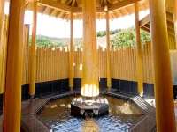 Hotel Sunbird - Suối nước nóng