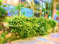 Vân Hồ Ecolodge Các khách sạn ở Vân Hồ