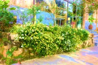 Van Ho Ecolodge