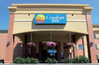 Comfort Inn Butte City Center I-15 - I-90 Hotels in Butte