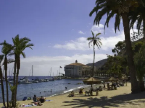 Bellanca Hotel Hotels in Avalon