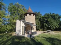 Secluded Vineyard Windmill