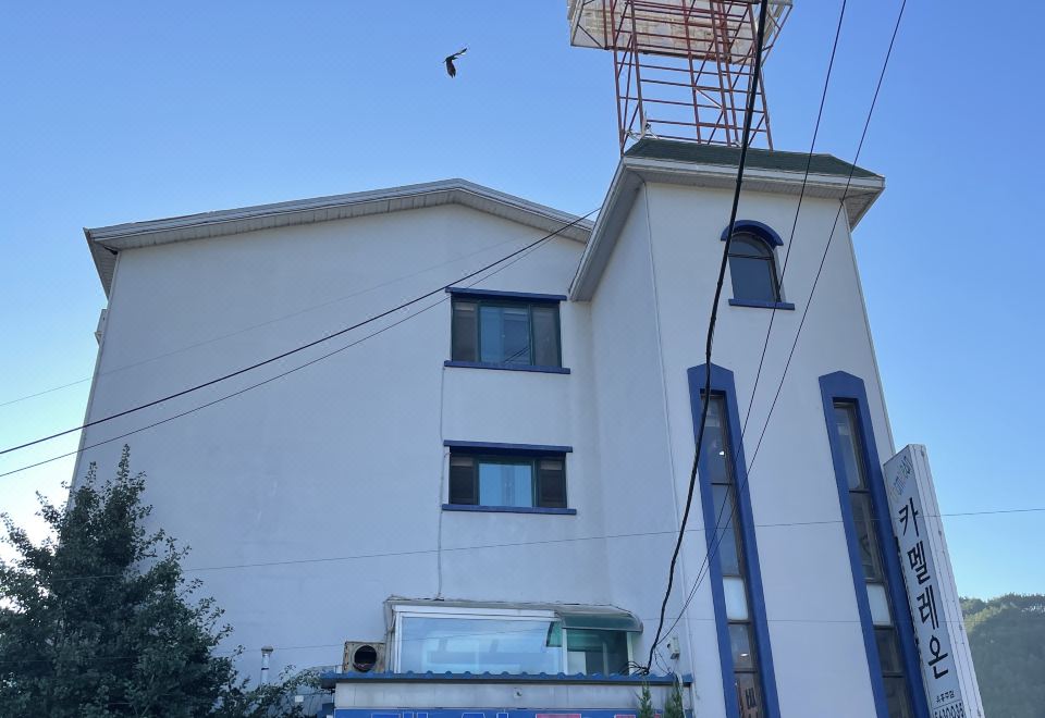 정선(임계) 대성