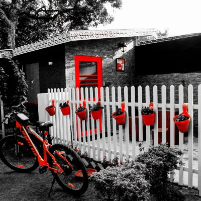 Olive Greens Homestay
